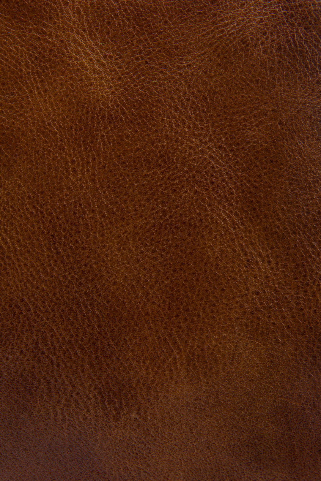 Melissa Cognac Zip Crossbody Cognac - Frye