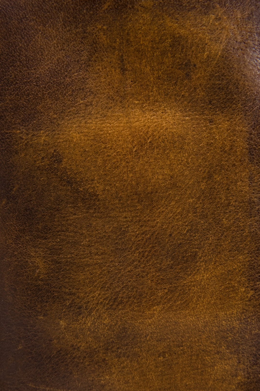 Melissa Dark Brown Wristlet Dark Brown - Frye