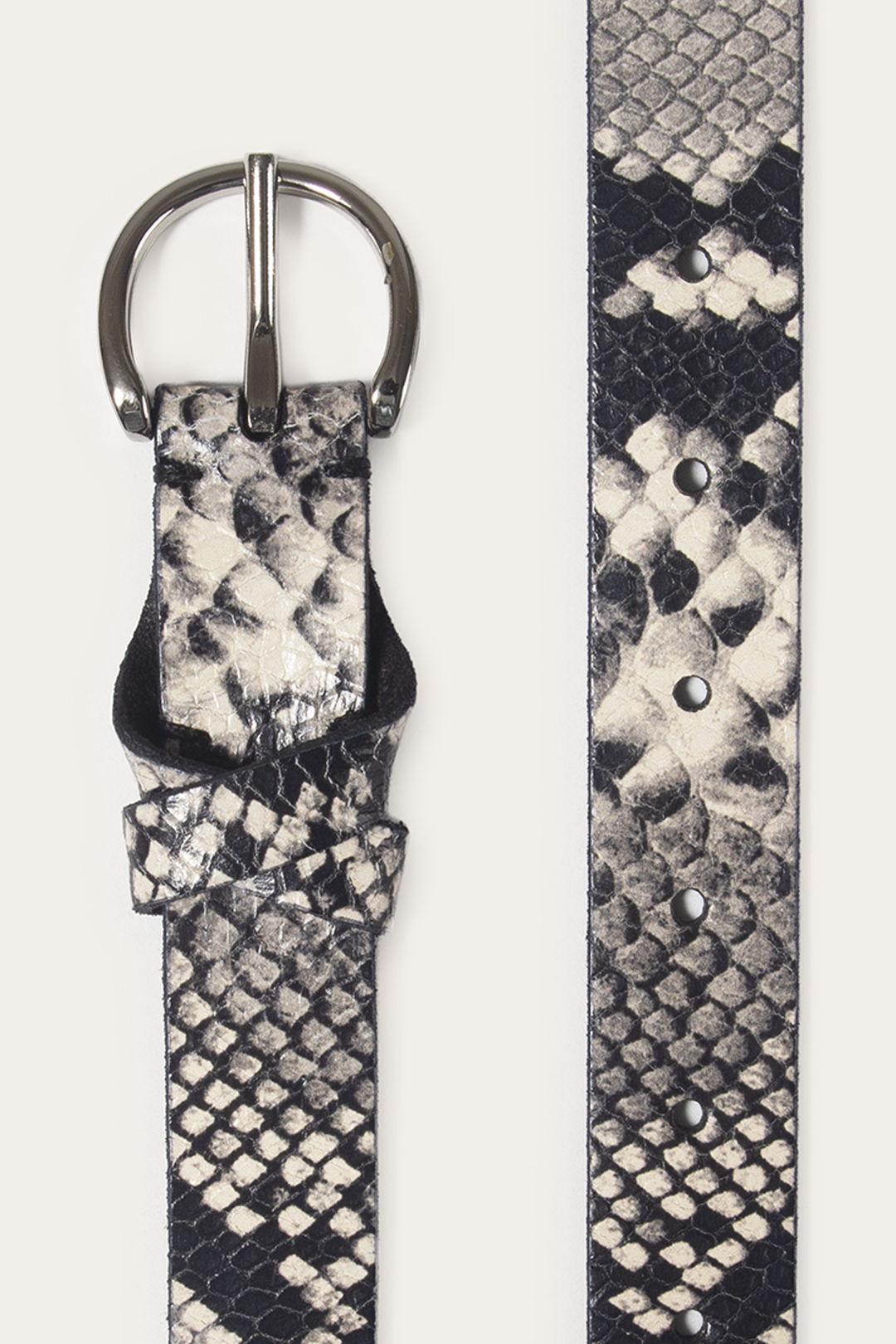 Roccia 25mm Snake Belt Roccia - Frye
