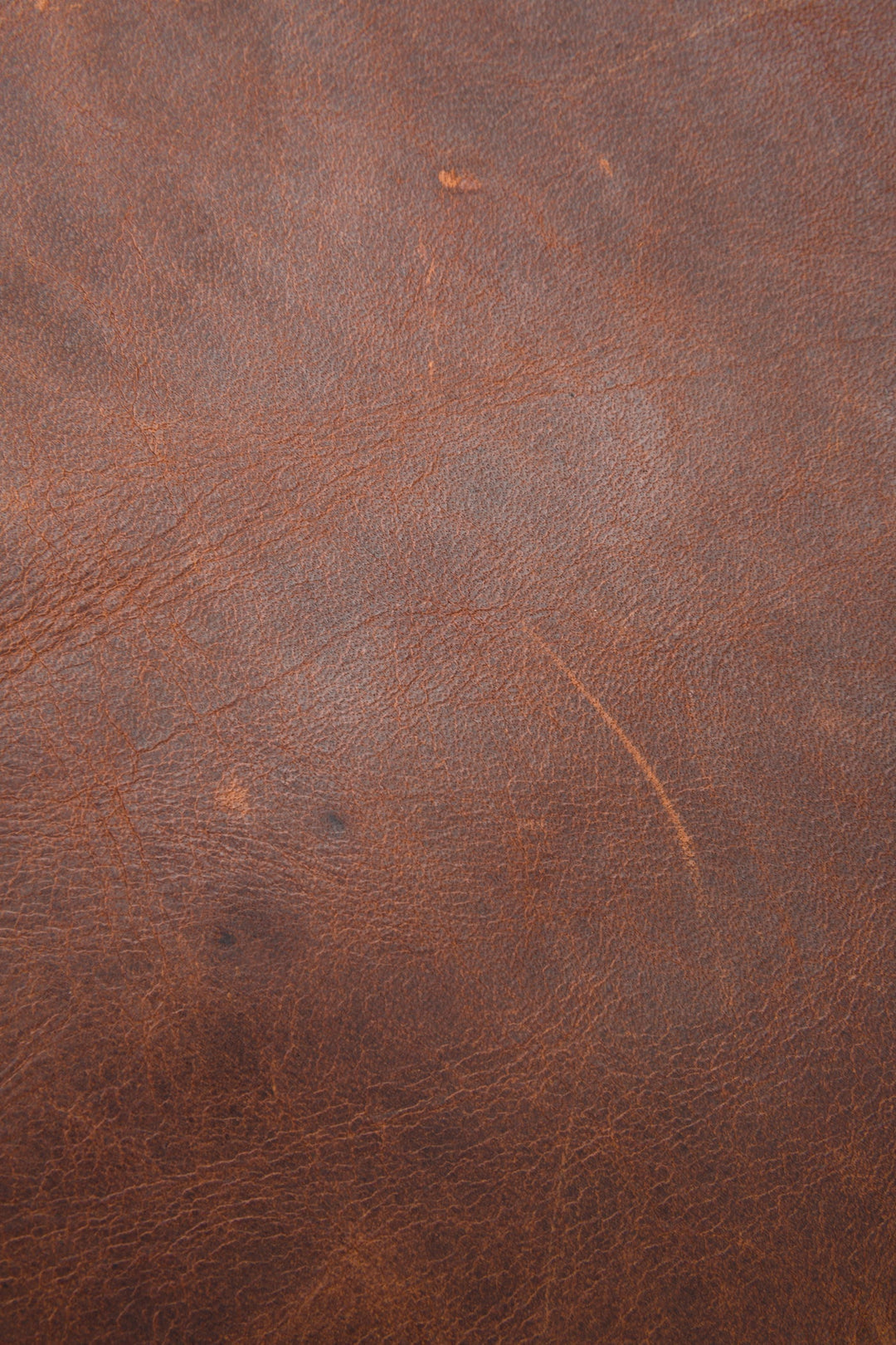 Logan Cognac Backpack Cognac - Frye